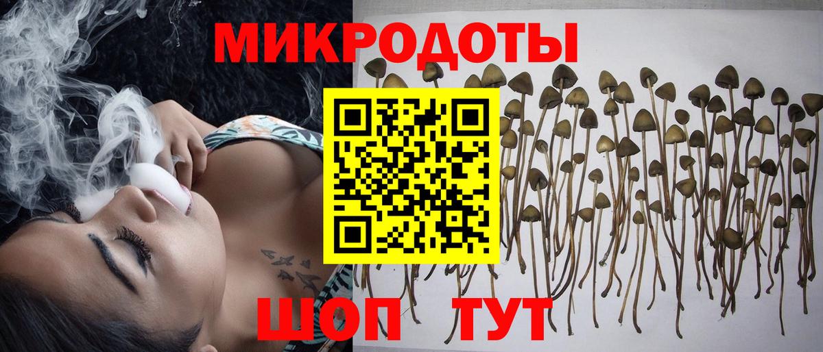 Псилоцибиновые грибы Magic Shrooms  Вход с VPN  Избербаш 